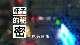 威海酒店爆料视频曝光事件,事件真相与公众关注